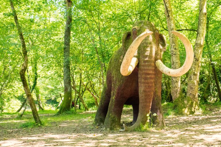 mamut (1)